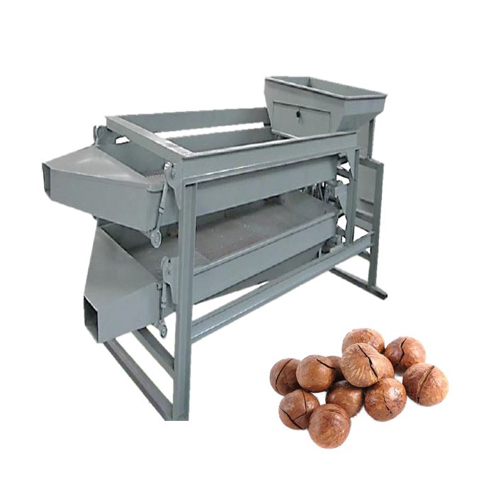 Cashew Nut Sorting Machine