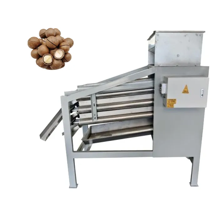 Cashew Nut Sorting Machine