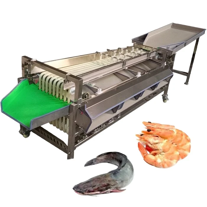 Fish sorting machine 2