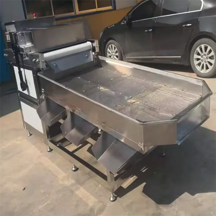 Nuts Peanut Cutting Machine（2）